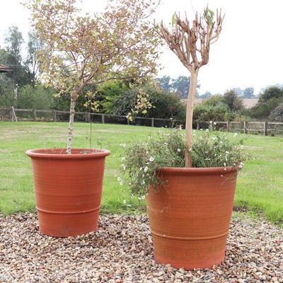 Lot 320 - A pair of large Whichford Pottery terracotta pots