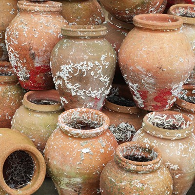 Lot 312 - A collection of twenty-nine terracotta pots
