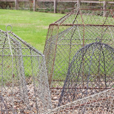 Lot 298 - A group of wire mesh cloches