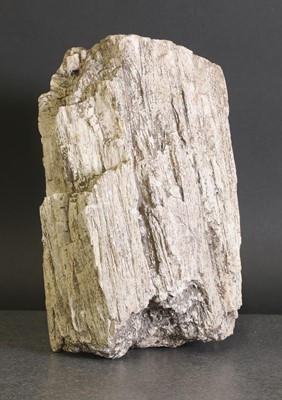 Lot 310 - A fossilised wood specimen