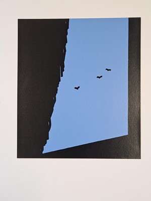 Lot 319 - Patrick Caulfield RA (1936-2005)