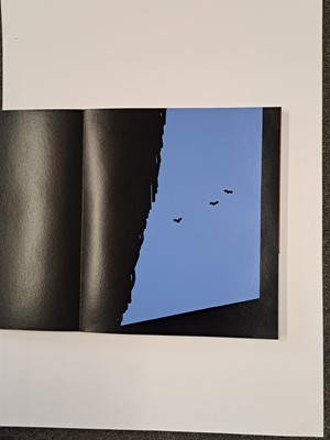 Lot 319 - Patrick Caulfield RA (1936-2005)