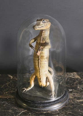 Lot 60 - An anthropomorphic taxidermy of a juvenile crocodile