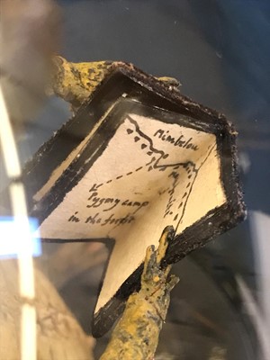 Lot 60 - An anthropomorphic taxidermy of a juvenile crocodile
