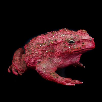 Lot 120 - A resin sculpture of a toad