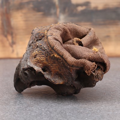 Lot 473 - A monkey skull