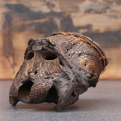 Lot 473 - A monkey skull