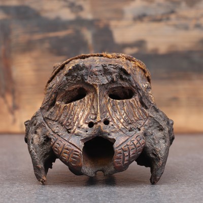 Lot 473 - A monkey skull