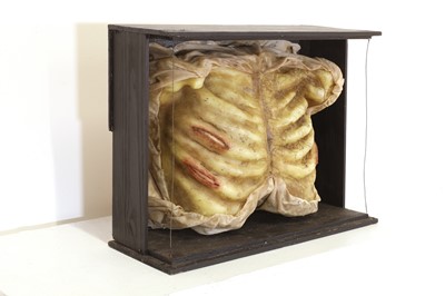 Lot 393 - A Victorian waxwork cast of a ribcage