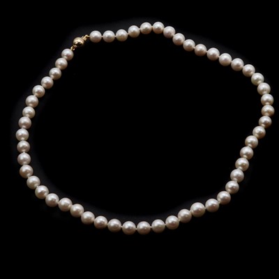 Lot 131 - A single row uniform cultured freshwater pearl necklace