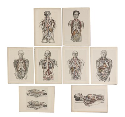 Lot 417 - A group of eight Victorian anatomical lithographs