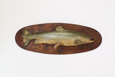 Lot 485 - A painted wooden and composition salmon mount