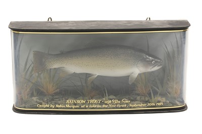 Lot 273 - Taxidermy: A large rainbow trout