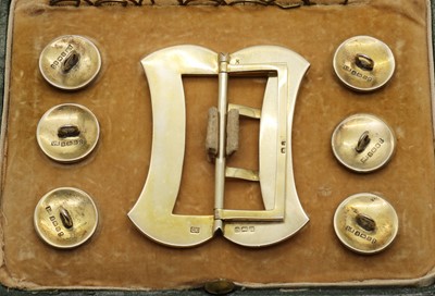 Lot 73 - A cased set of silver and enamel buttons and buckle