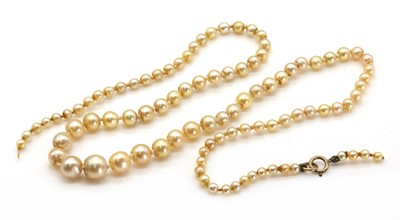 Lot 131 - A single row graduated pearl necklace