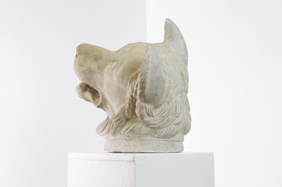 Lot 494 - A plaster cast of a Molossian hound