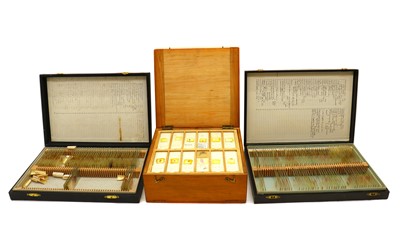 Lot 263 - A large collection of glass microscope slides