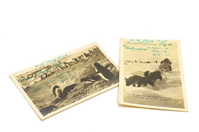 Lot 337 - Two signed Antarctic expedition postcards
