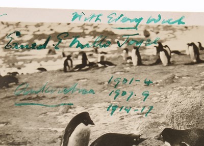 Lot 337 - Two signed Antarctic expedition postcards