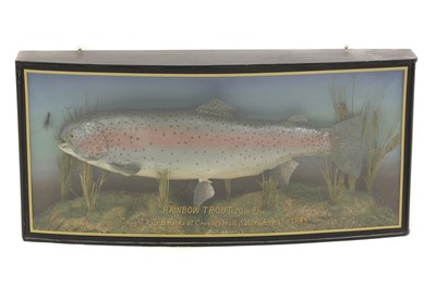 Lot 111 - Taxidermy: A rainbow trout, by Peter Stone