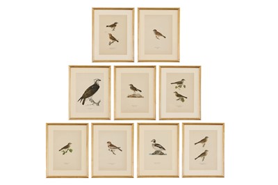 Lot 431 - A set of coloured lithographs of birds after the Von Wright brothers