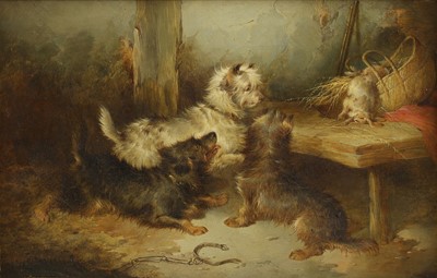 Lot 243 - Paul Jones (fl.1855-1888)