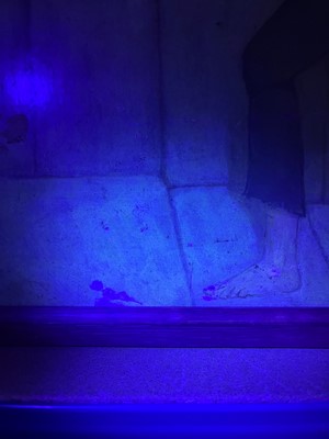 Lot 62 - John Duncan RSA RSW (1866-1945)