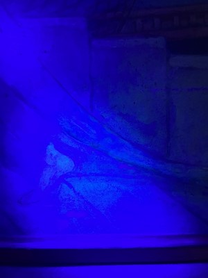 Lot 62 - John Duncan RSA RSW (1866-1945)