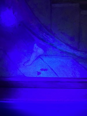 Lot 62 - John Duncan RSA RSW (1866-1945)