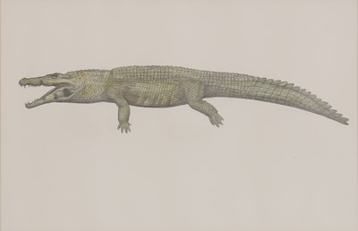 Lot 262 - Phil Coles (contemporary)