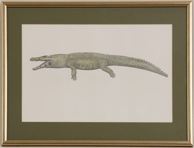 Lot 262 - Phil Coles (contemporary)