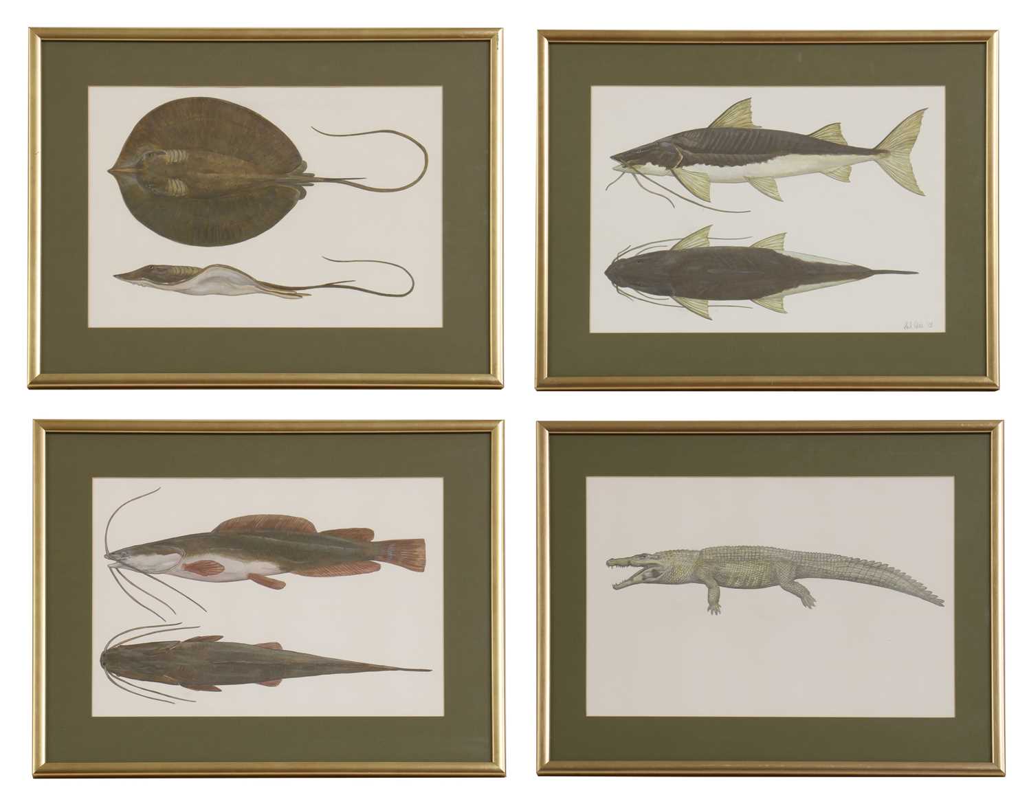 Lot 262 - Phil Coles (contemporary)