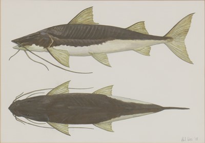 Lot 262 - Phil Coles (contemporary)