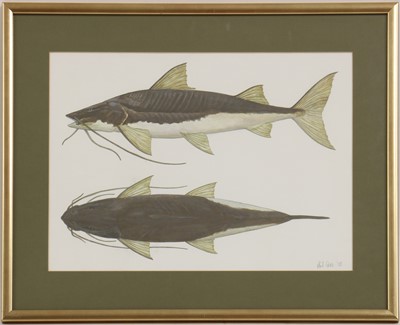 Lot 262 - Phil Coles (contemporary)