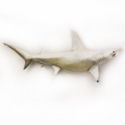 Lot 444 - A life-sized fiberglass model of a hammerhead shark