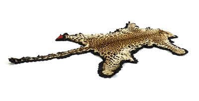 Lot 463 - TAXIDERMY: A leopard skin rug