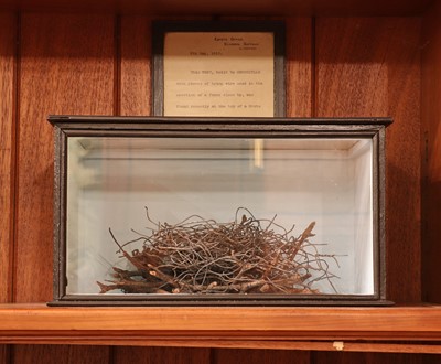 Lot 413 - A crossbill's nest of wire