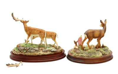 Lot 196 - A collection of Border Fine Arts models