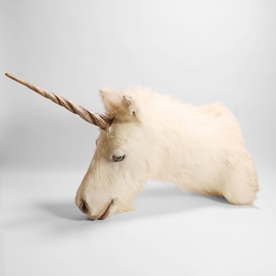 Lot 61 - Taxidermy: a unicorn head mount