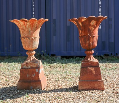 Lot 479 - A pair of cast iron urns on stands