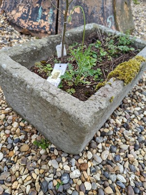 Lot 523 - A Cotswold stone trough