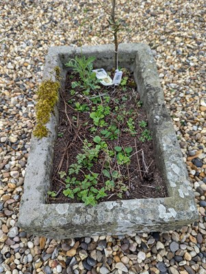 Lot 523 - A Cotswold stone trough