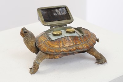 Lot 392 - A taxidermy tortoise inkwell