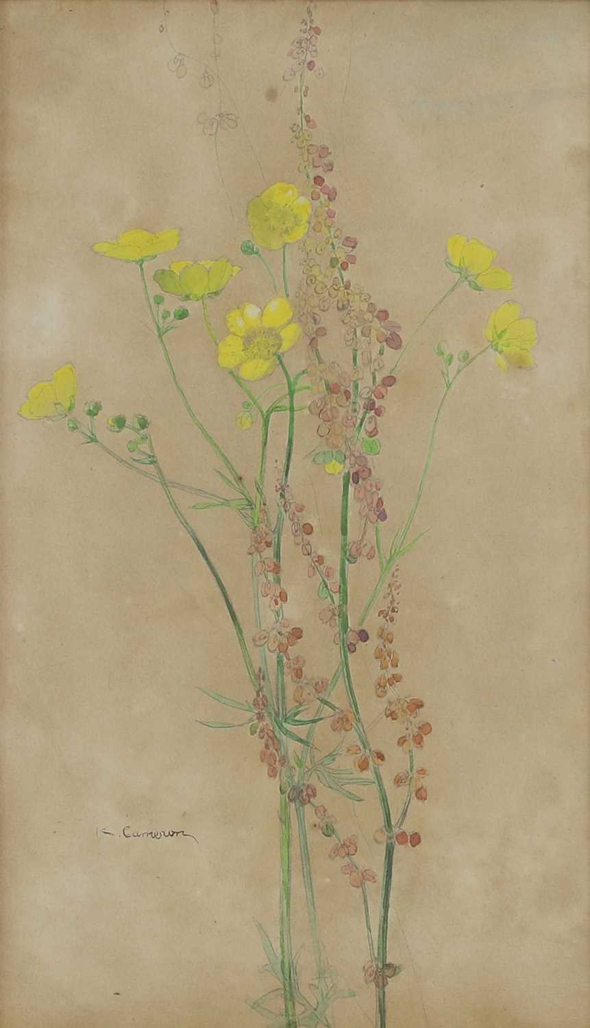 Lot 77 - Katherine Cameron RSW RE (1874-1965)