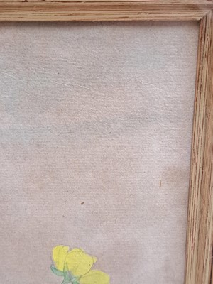 Lot 77 - Katherine Cameron RSW RE (1874-1965)