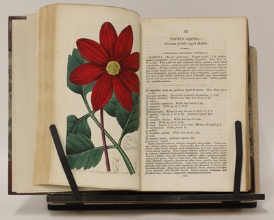 Lot 315 - EDWARDS, Sydenham: The Botanical Register