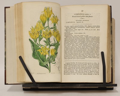 Lot 315 - EDWARDS, Sydenham: The Botanical Register