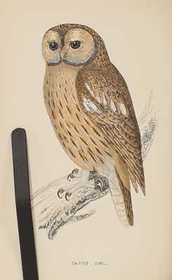 Lot 307 - Morris, F O: A History of British Birds.