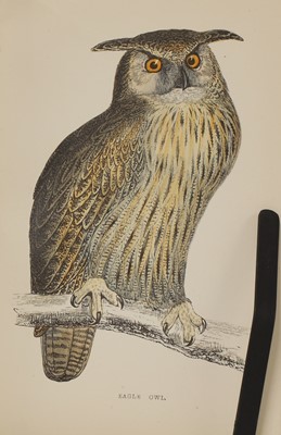 Lot 305 - Morris, F O: A History of British Birds.