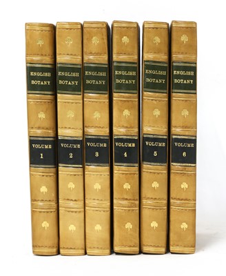 Lot 312 - SOWERBY, James: English Botany, Volumes: 1-6